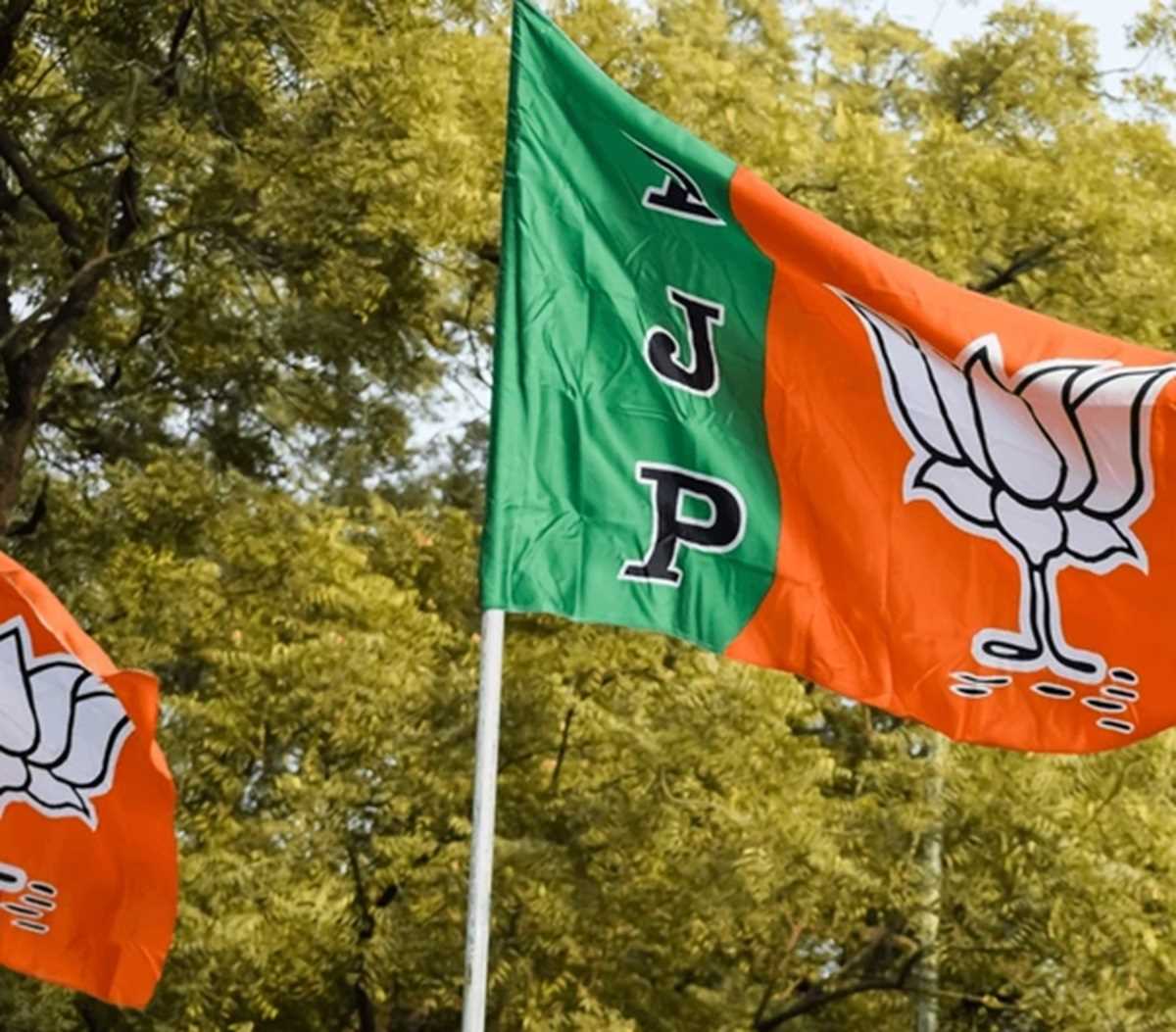 स्पष्ट राजनीतिक लाभ के बावजूद भाजपा घाटी में पैठ बनाने में विफल